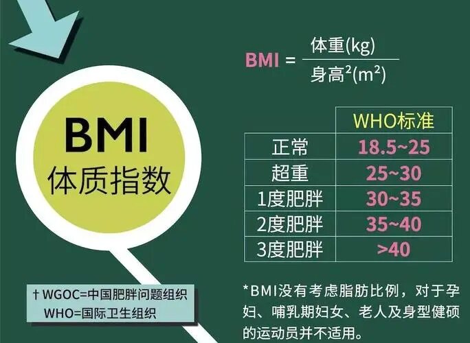 身高体重BMI